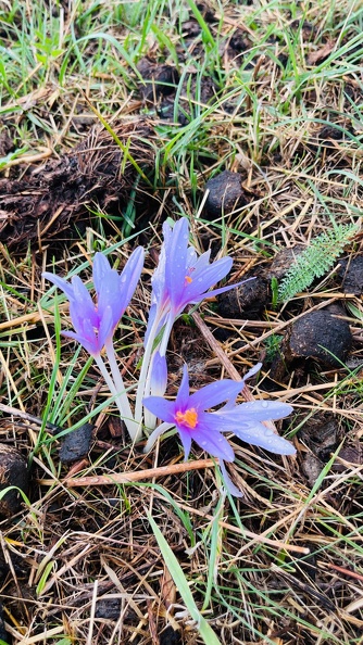 22-09-10 17-56-08 1971.jpeg